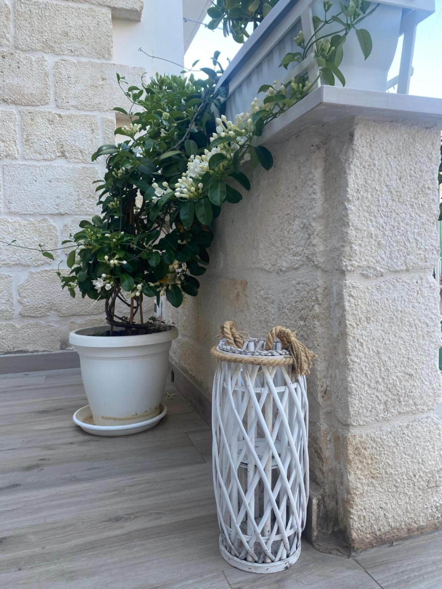 Holiday Lab Monopoli Dış mekan fotoğraf